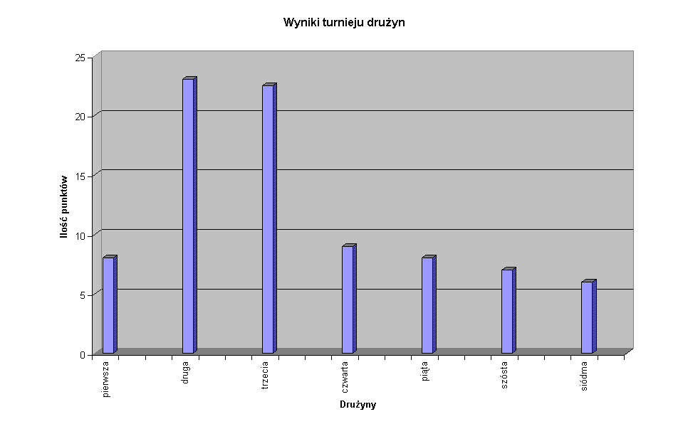 Wyniki turnieju druyn